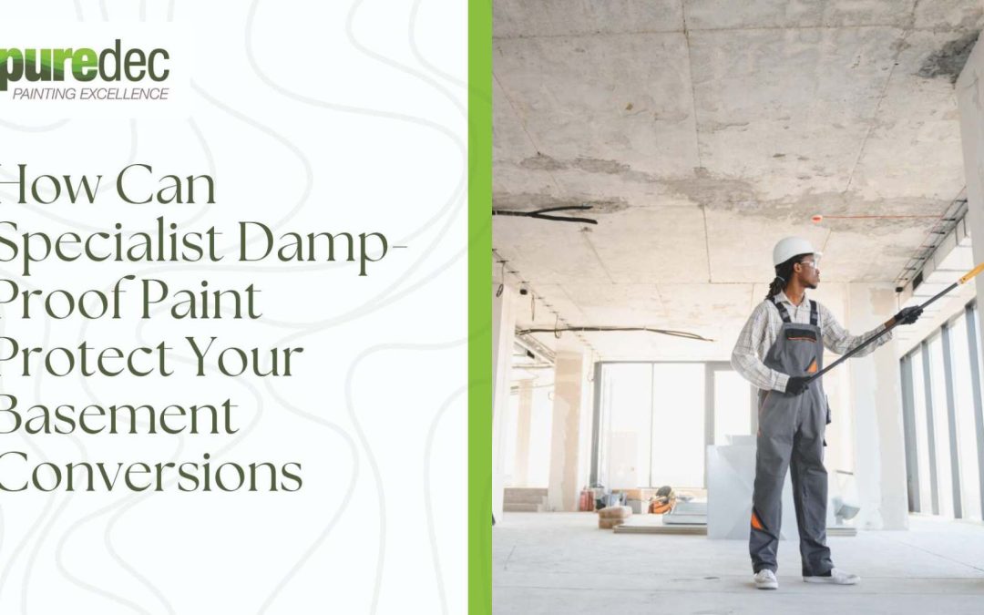 How Can Specialist Damp-Proof Paint Protect Your Basement Conversions
